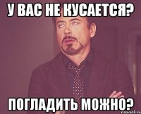 у вас не кусается? погладить можно?