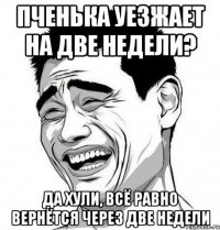 пченька уезжает на две недели? да хули, всё равно вернётся через две недели