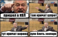 пришел в КВЛ там кричат шпрот тут кричат ворона хуле блять зоопарк