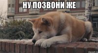 ну позвони же 