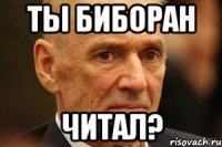 ты биборан читал?