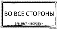 во все стороны брызнули воробьи