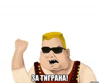  за тиграна!