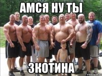 амся ну ты зкотина