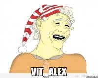  vit_alex