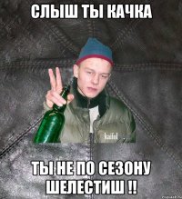 слыш ты качка ты не по сезону шелестиш !!