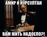 амир и нурсултан вам жить надоело?!