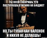 ты всем говоришь что поступаешь в мгимо на бюджет но ты тупая как валенок и нихуя не делаешь!