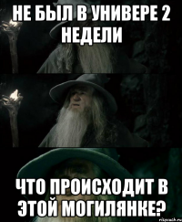 не был в универе 2 недели что происходит в этой могилянке?