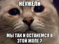 неужели мы так и останемся в этой жопе ?