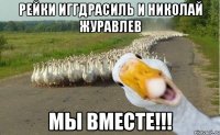 рейки иггдрасиль и николай журавлев мы вместе!!!