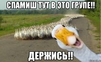 спамиш тут в это групе!! держись!!