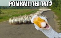 ромка!!! ты тут? 