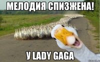 мелодия спизжена! у lady gaga