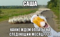 саша какие ждем оплаты на следующий месяц???