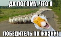 да потому, что я победитель по жизни!