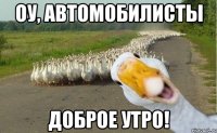 оу, автомобилисты доброе утро!