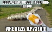 свободных клубов, говоришь, полно? уже веду друзей!!!