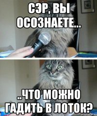 сэр, вы осознаете... ..что можно гадить в лоток?