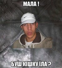 мала ! буш кішку їла ?