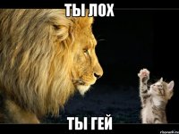 ты лох ты гей