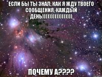 если бы ты знал, как я жду твоего сообщения, каждый день))))))))))))))))) почему а???