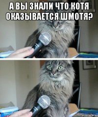 а вы знали что котя оказывается шмотя? 