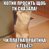 котик просить щоб ти сказала! чи платна практика у тебе)?