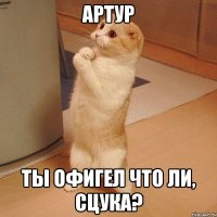 артур ты офигел что ли, сцука?