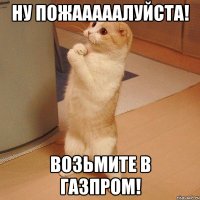 ну пожааааалуйста! возьмите в газпром!