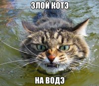 злой котэ на водэ