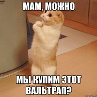 мам, можно мы купим этот вальтрап?