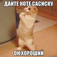 дайте коте сасиску он хороший