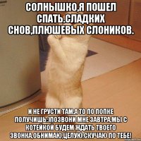 солнышко,я пошел спать.сладких снов,плюшевых слоников. и не грусти там.а то по попке получишь:)позвони мне завтра,мы с котейкой будем ждать твоего звонка,обнимаю,целую,скучаю по тебе!