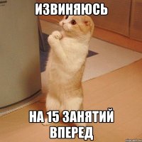 извиняюсь на 15 занятий вперед