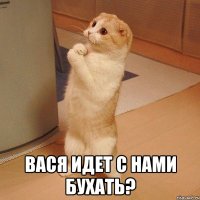  вася идет с нами бухать?