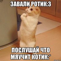 завали ротик:3 послушай что мяучит котик:*