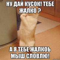 ну дай кусок! тебе жалко ? а я тебе жалкоь мыш словлю!