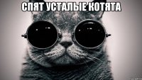 спят усталые котята 