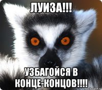 луиза!!! узбагойся в конце-концов!!!