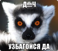 д....ч узбагойся да