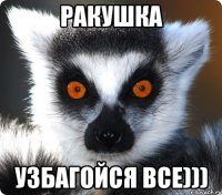 ракушка узбагойся все)))