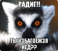 радиг!! ты узбагоежзя нед??