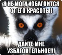 я не могу узбагоится от его красоты! дайте мне узбагоительное!!!