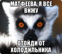 матфеева, я все вижу отойди от холодильника