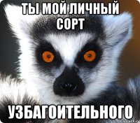 ты мой личный сорт узбагоительного