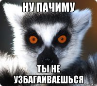 ну пачиму ты не узбагаиваешься