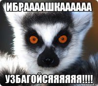 ибраааашкаааааа узбагойсяяяяяя!!!