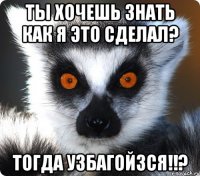 ты хочешь знать как я это сделал? тогда узбагойзся!!?