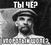 ты чё? упоротый шоле?